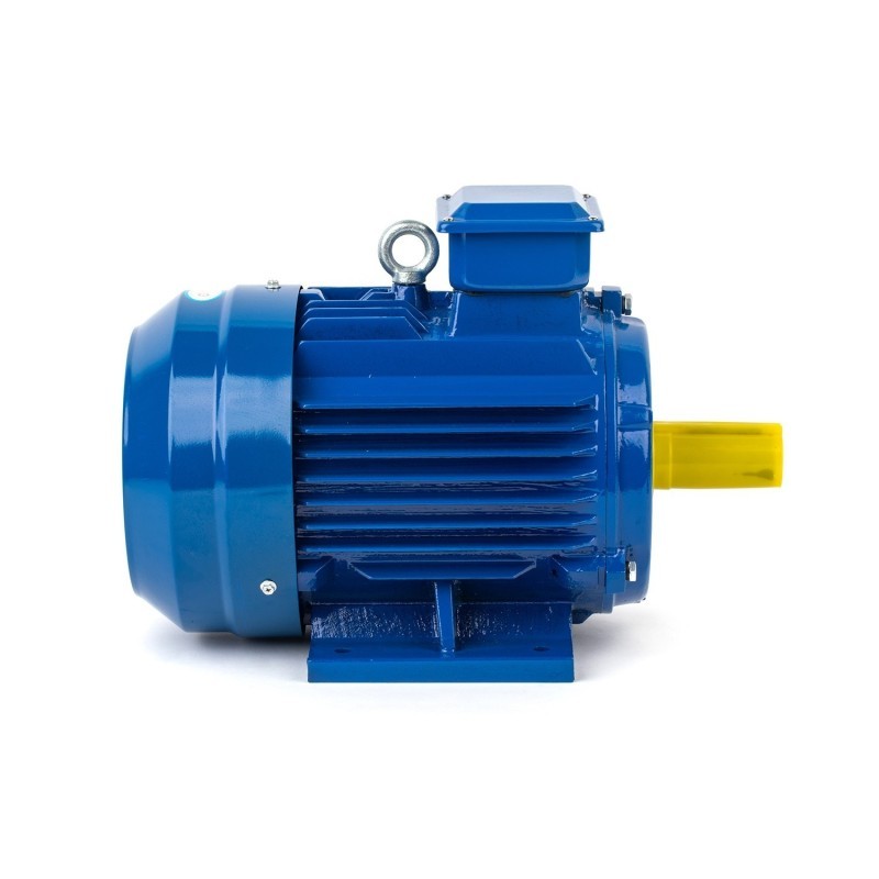 355 kW 1000 Devir Elektrik Motoru