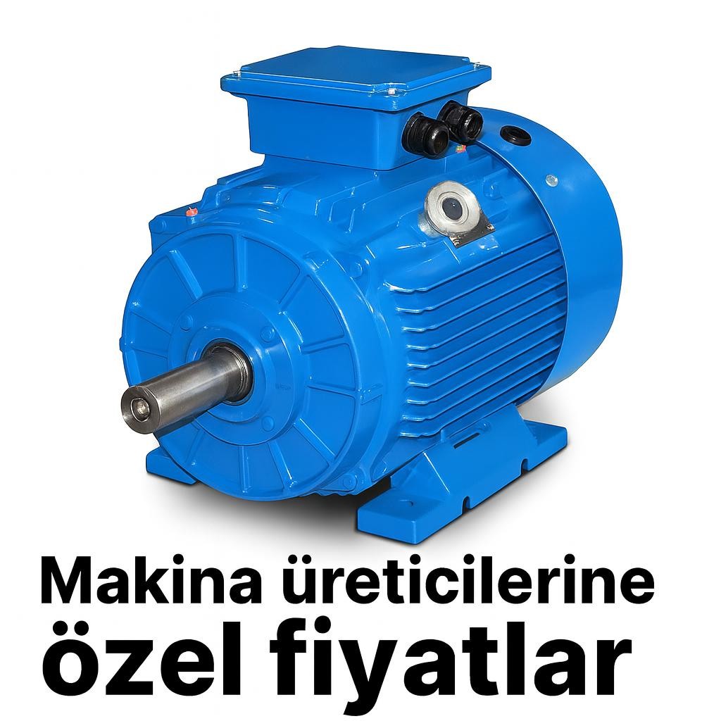IE3 Verimli Motor