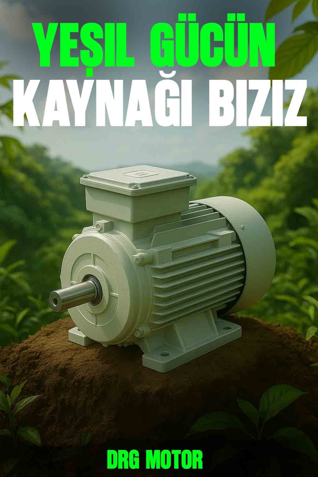355 kW 1500 d/d Elektrik Motorları - DRG MOTOR,