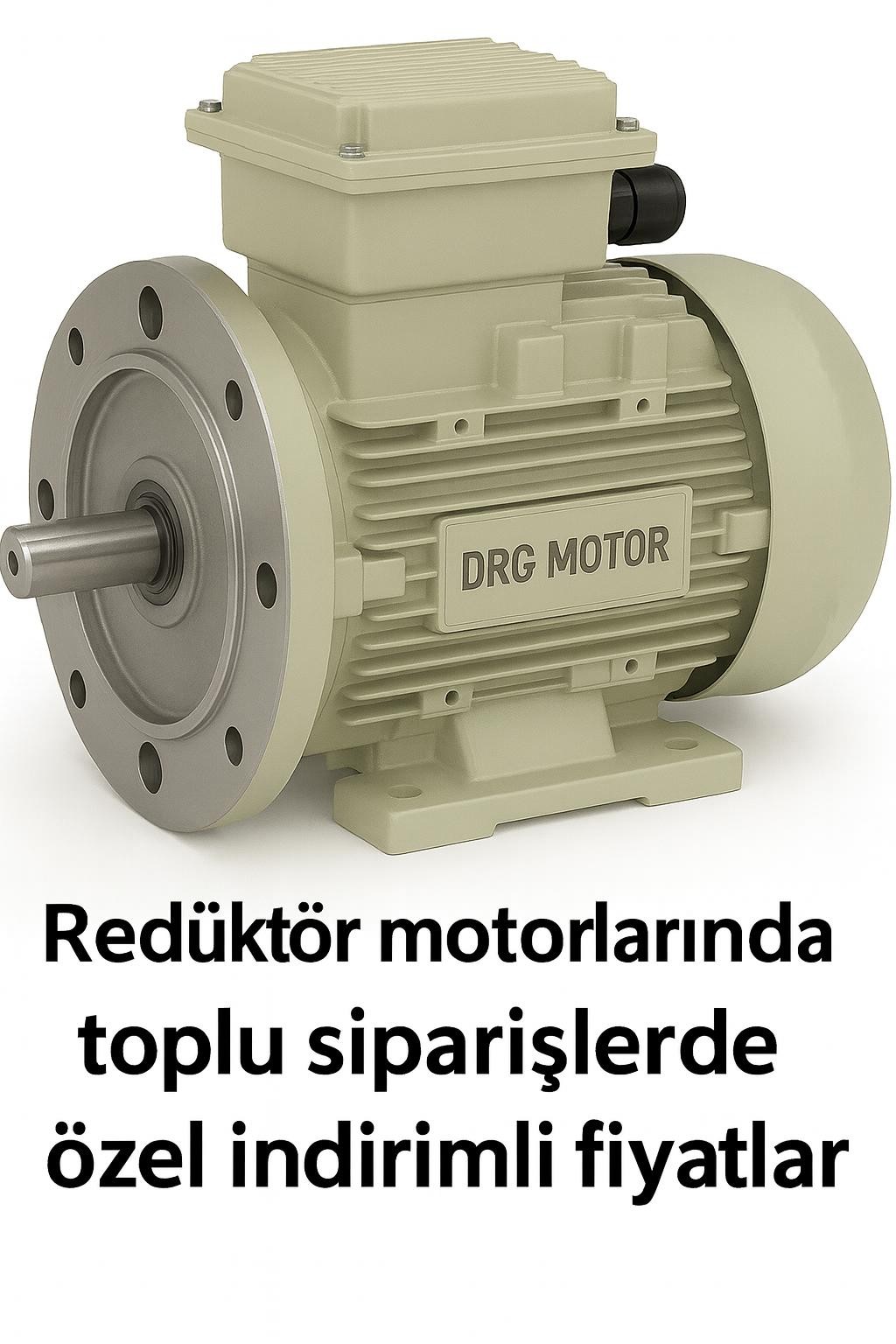 250 kW 1500 devir elektrik motoru