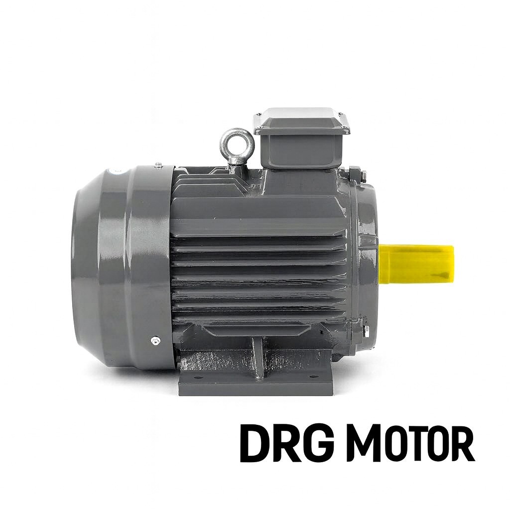 Frekans konvertörlü DRG Elektrik Motorları ( Konveyör, elek, pompa V.s. için ),