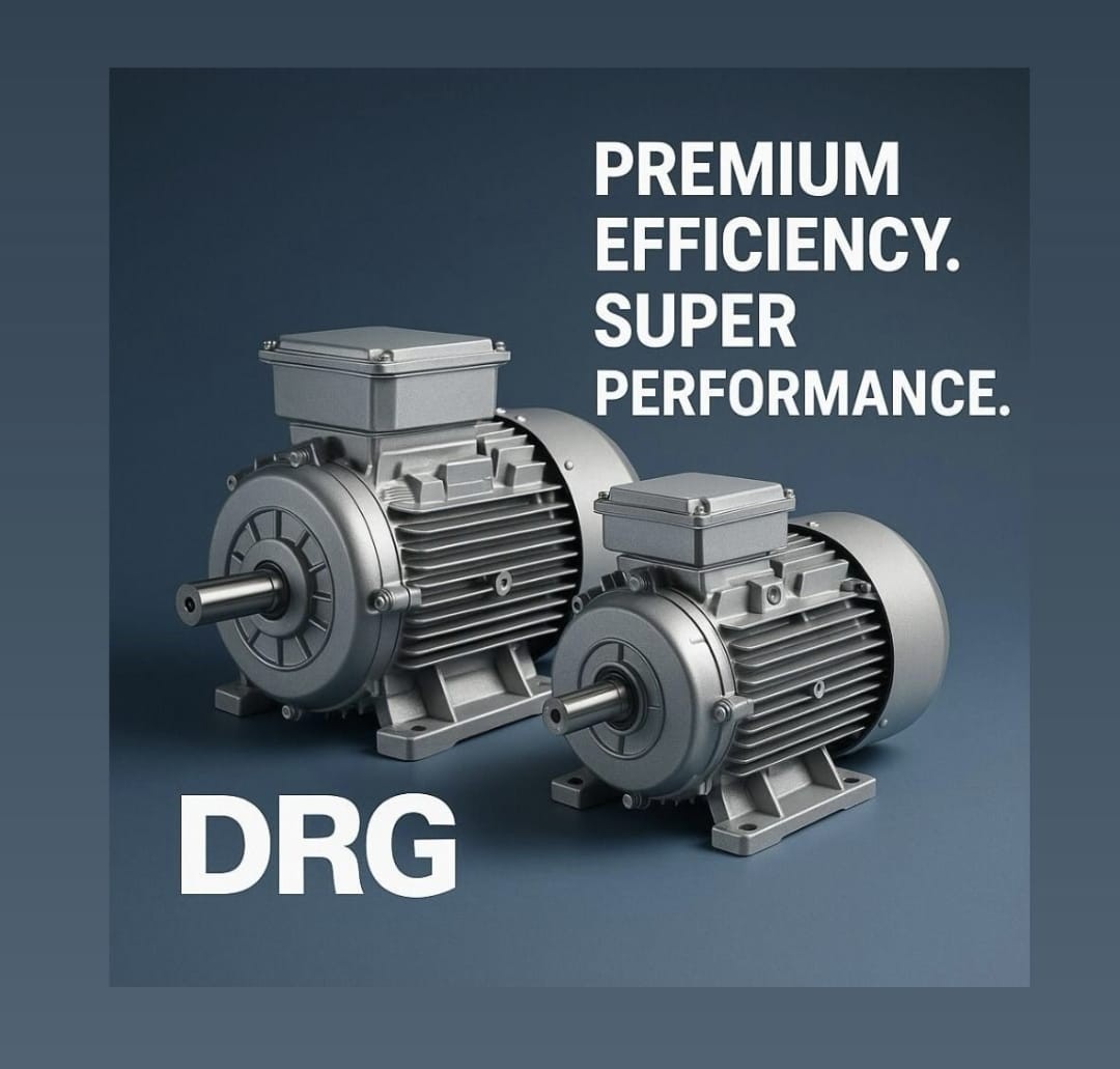 Elektrik Motoru Modelleri ve Fiyatları - DRG MOTOR,