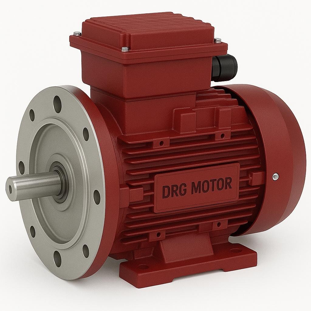 Asynchronous Electric Motor