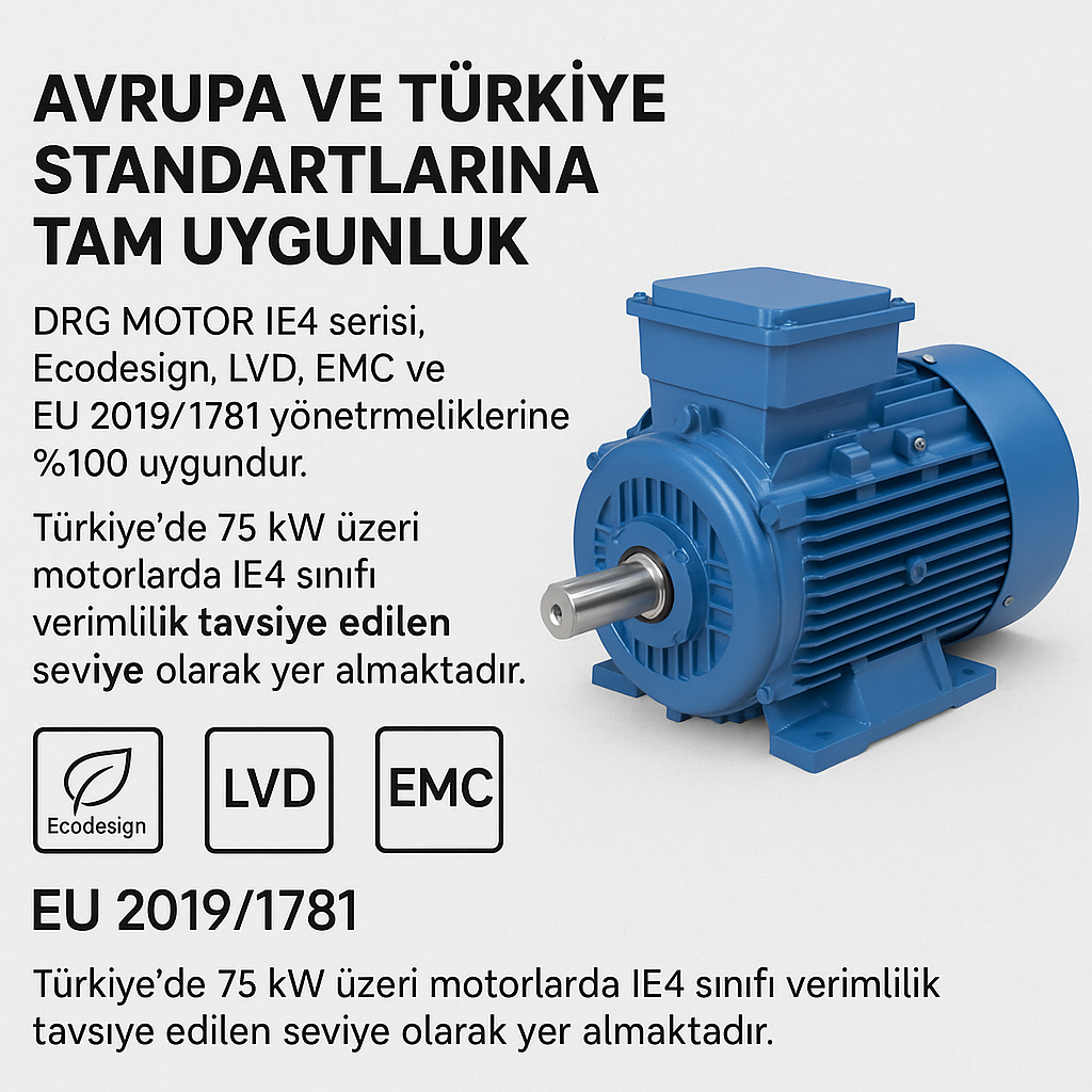 Yeni Nesil Elektrik Motorları, DRG MOTOR İZMİR